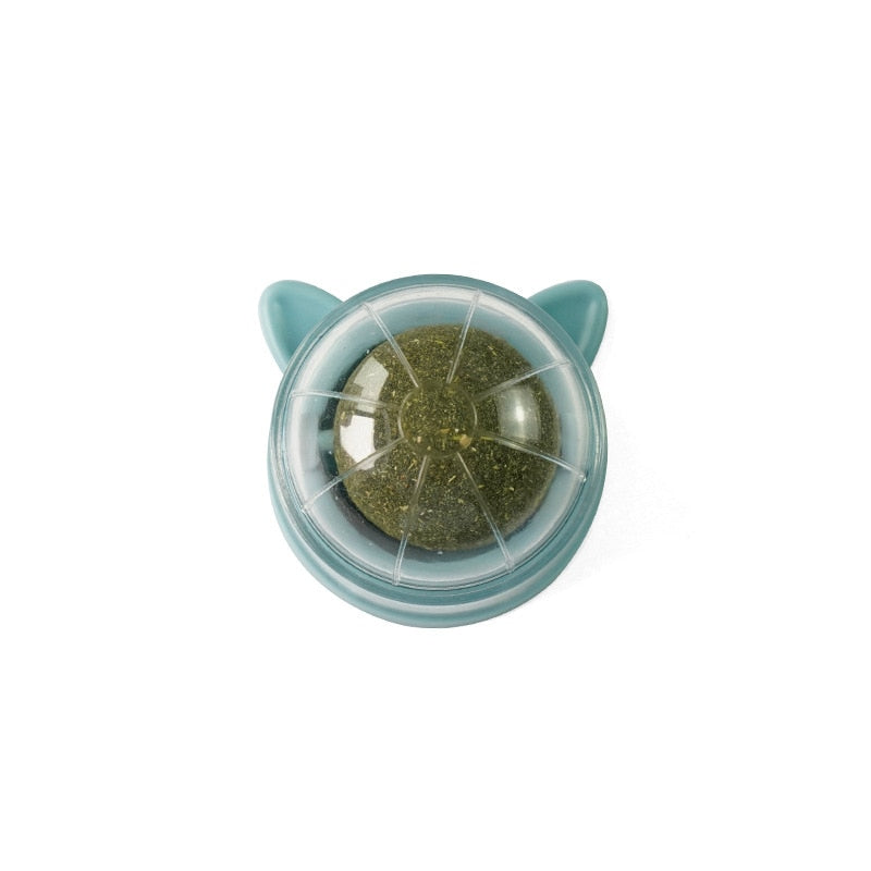 Pet Wall Stick-on Ball Toy
