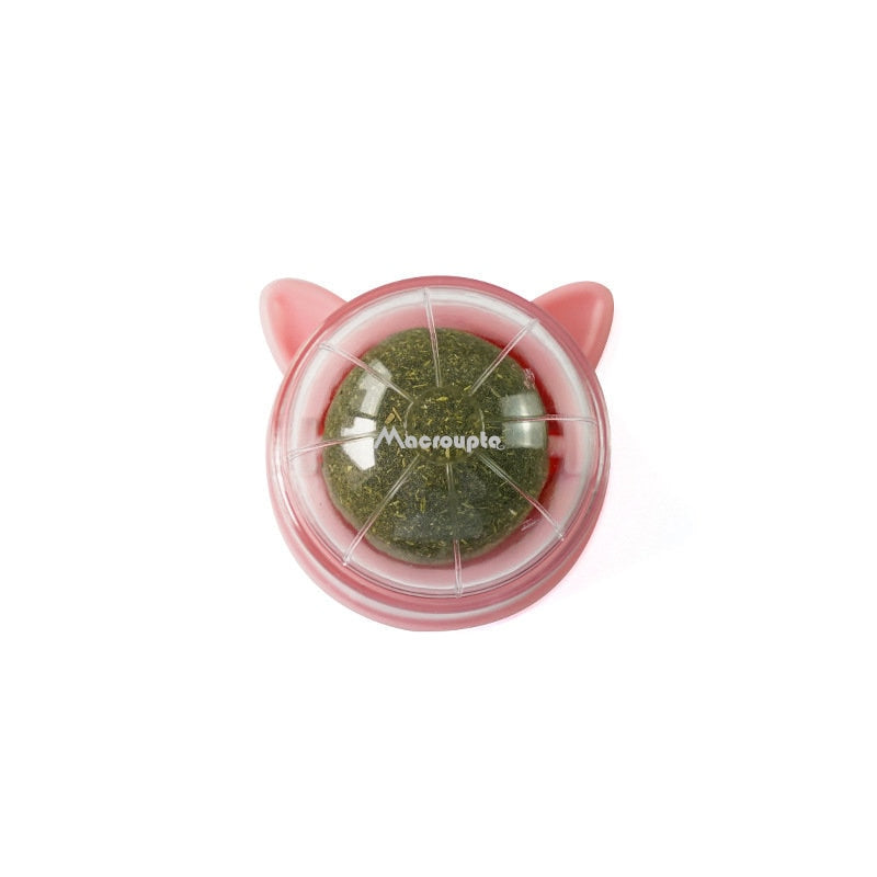 Pet Wall Stick-on Ball Toy