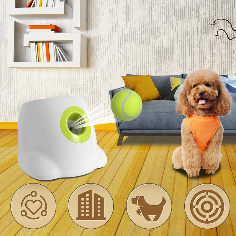 Automatic dog tennis ball launcher