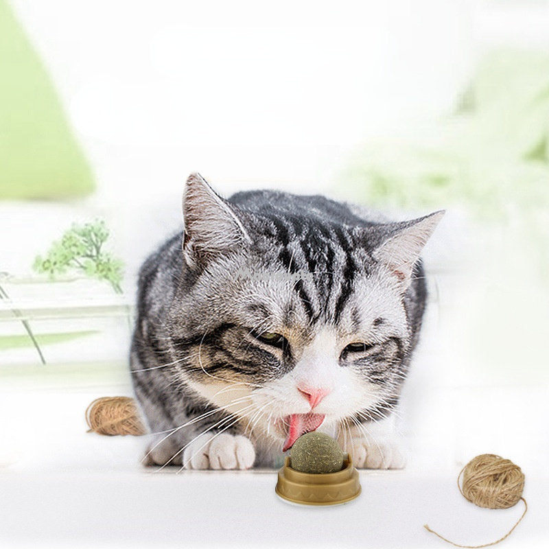 Pet Wall Stick-on Ball Toy