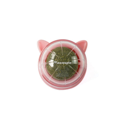 Pet Wall Stick-on Ball Toy