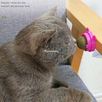 Pet Wall Stick-on Ball Toy