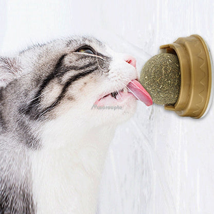 Pet Wall Stick-on Ball Toy